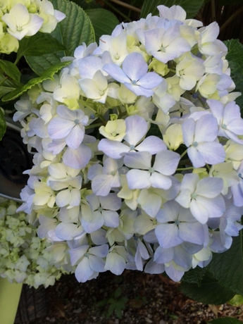 Imagen de los exteriores del B&B Bandb Puntaferano. Foto 5