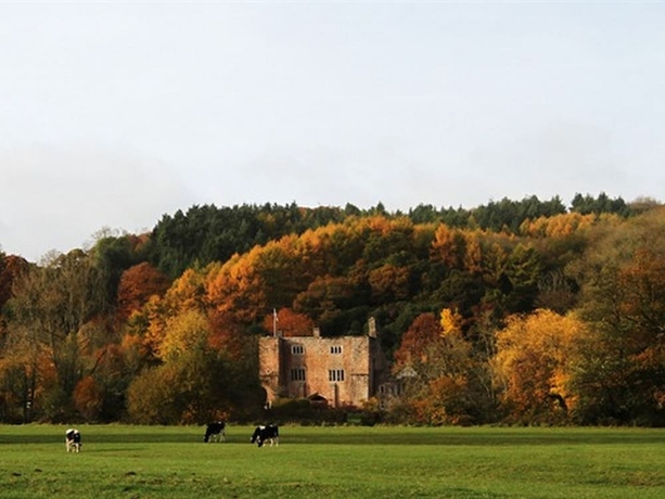 Imagen de los exteriores del B&B Bickleigh Castle Hotel - Castle. Foto 17