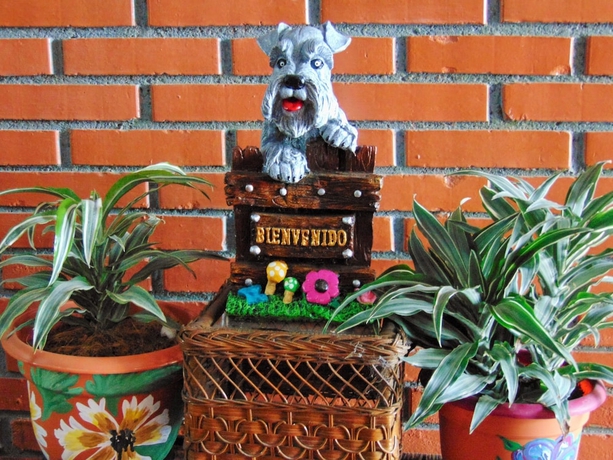 Imagen de los interiores del B&B Casa Lima. Foto 16