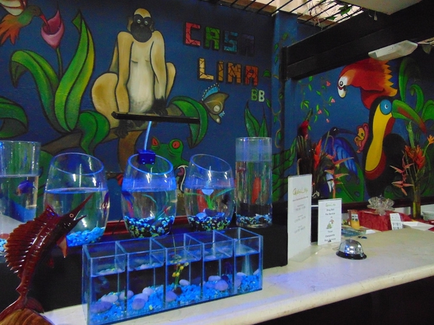 Imagen de los interiores del B&B Casa Lima. Foto 19