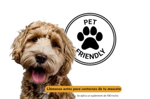 Imagen general del B&B Casa Rural Casa Selmo. Foto 10