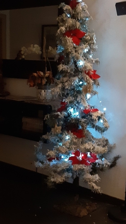 Imagen de los interiores del B&B Castro Pretorio. Foto 16