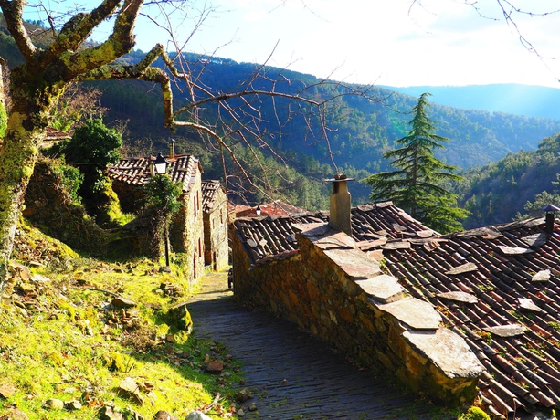 Imagen de los exteriores del B&B Cherry Cottage Vintage. Foto 7