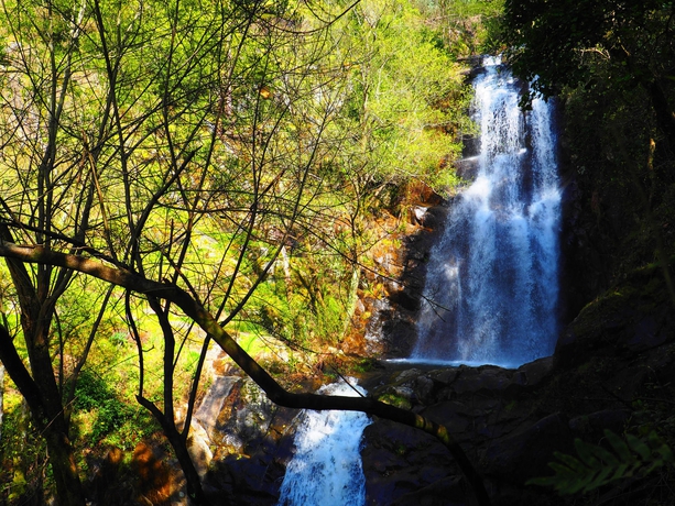 Imagen de los exteriores del B&B Cherry Cottage Vintage. Foto 8