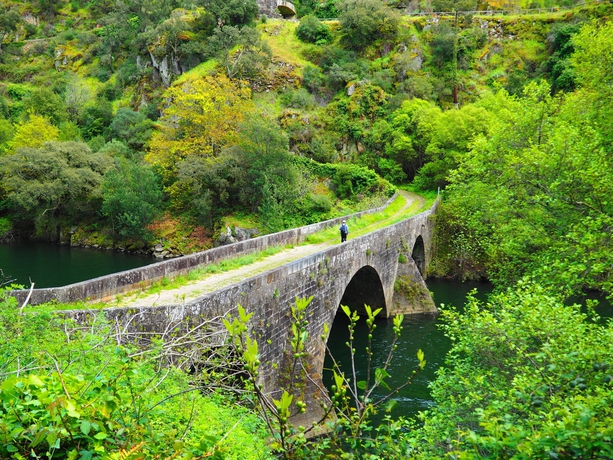 Imagen de los exteriores del B&B Cherry Cottage Vintage. Foto 11