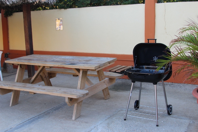 Imagen de los exteriores del B&B Coconut Inn. Foto 11