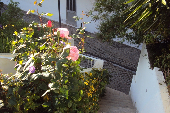 Imagen de los exteriores del B&B D. Maria. Foto 8