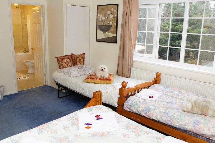 Imagen general del B&B Da Vinci Guest House Gatwick. Foto 2