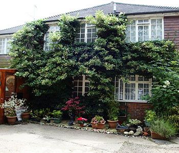 Imagen general del B&B Da Vinci Guest House Gatwick. Foto 8