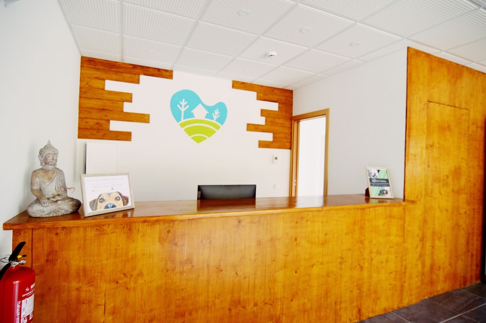 Imagen de los interiores del B&B Equitare Rural. Foto 13