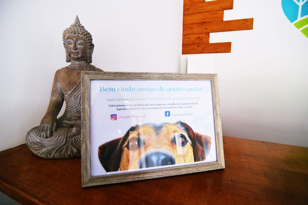 Imagen de los interiores del B&B Equitare Rural. Foto 14