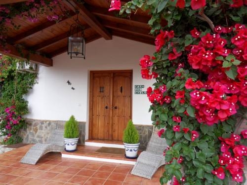 Imagen general del B&B Guest House Casa Don Carlos. Foto 4