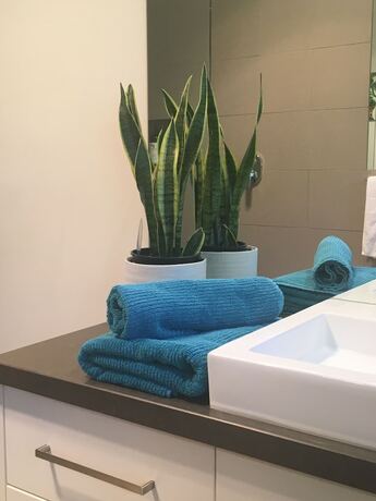 Imagen de la habitación del B&B Hollyhock, Macedon. Foto 4