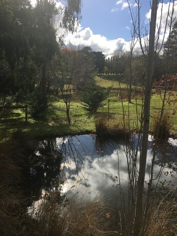 Imagen de los exteriores del B&B Hollyhock, Macedon. Foto 10