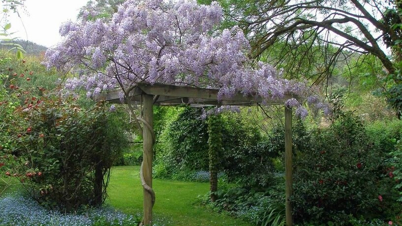 Imagen de los exteriores del B&B Hollyhock, Macedon. Foto 11