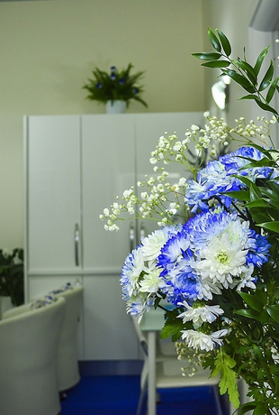 Imagen de los interiores del B&B Kambal Bandb. Foto 16