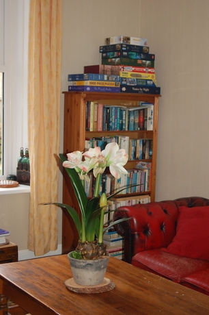 Imagen de los interiores del B&B Knight's Rest. Foto 18