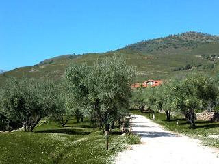 Imagen general del B&B La Sayuela. Foto 2