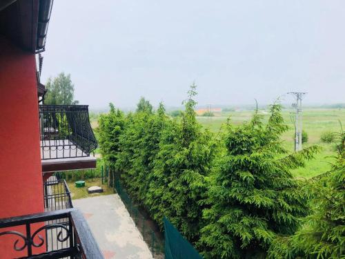 Imagen de los exteriores del B&B Limba. Foto 17