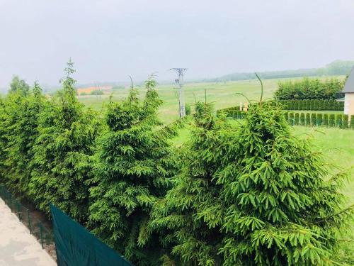 Imagen de los exteriores del B&B Limba. Foto 18