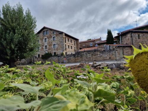 Imagen general del B&B Maison Bar&oacute;n de la Galleta. Foto 7