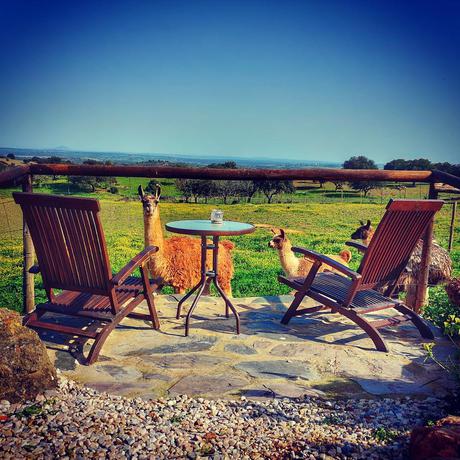 Imagen general del B&B Monte Santa Catarina. Foto 9