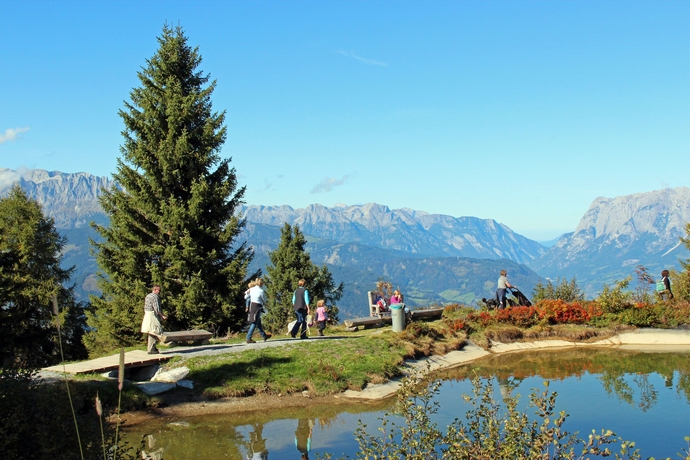 Imagen general del B&B Pension Forsthof. Foto 4