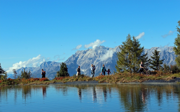 Imagen general del B&B Pension Forsthof. Foto 6