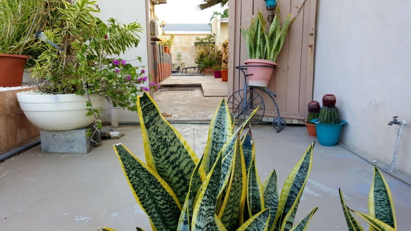 Imagen de los exteriores del B&B Posada Sandra Tours. Foto 13