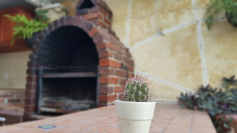 Imagen general del B&B Posada Sandra Tours. Foto 3