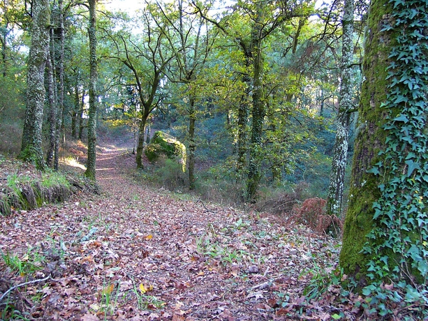 Imagen de los exteriores del B&B Quinta Da Prova. Foto 8