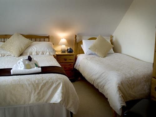 Imagen general del B&B Regal House. Foto 8