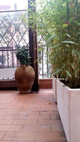 Imagen de los interiores del B&B Relax, Roma. Foto 6