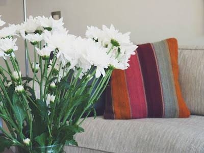 Imagen general del B&B River House. Foto 22