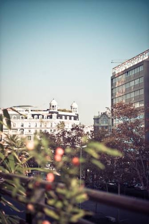 Imagen general del B&B Salsas and Co. Foto 2