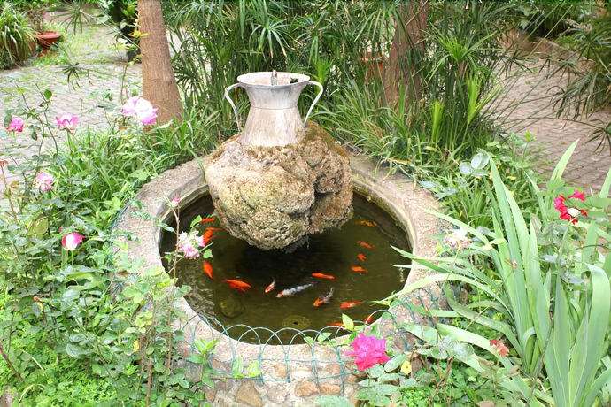 Imagen de los exteriores del B&B Sergio House. Foto 12