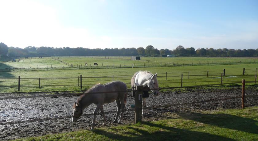 Imagen de los exteriores del B&B Slaopen En Stoet. Foto 5