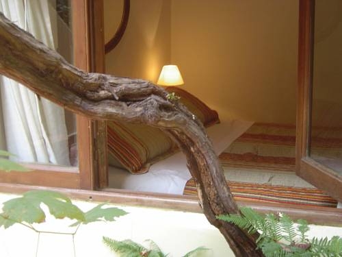 Imagen general del B&B Solar Soler. Foto 7