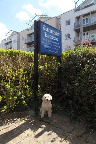 Imagen general del B&B Summer Breeze Guest House. Foto 7