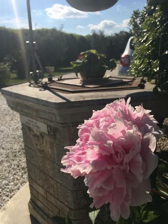 Imagen general del B&B Tenuta La Rosa. Foto 6