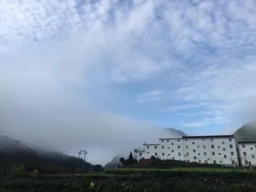 Imagen general del B&B The Zhang. Foto 9