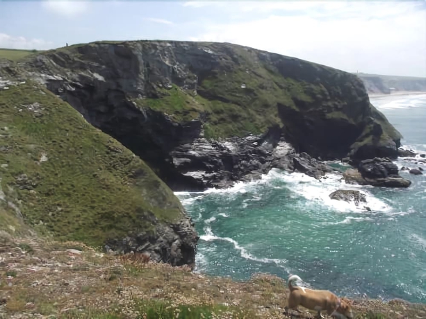 Imagen de los exteriores del B&B Trevarrian Lodge. Foto 19