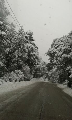 Imagen general del B&B Vila Blu Inn. Foto 3