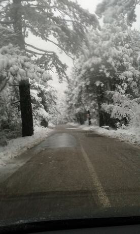 Imagen general del B&B Vila Blu Inn. Foto 5