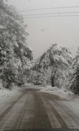 Imagen general del B&B Vila Blu Inn. Foto 6