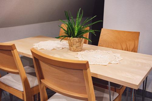 Imagen de los interiores del B&B Villa Cannes Resort Zakopane - grota solna, sauna fińska. Foto 12