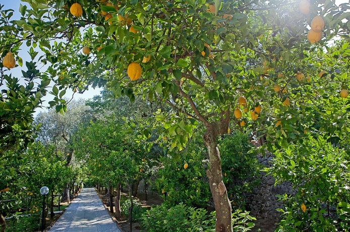 Imagen de los exteriores del B&B Villa Oriana Relais. Foto 13