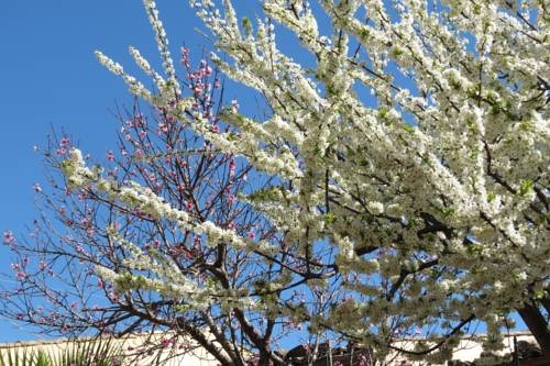 Imagen general del B&B Villa Rosaria. Foto 5