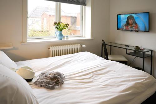 Imagen general del B&B Villa Sofie. Foto 2