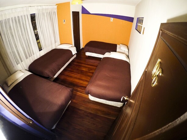 Imagen de la habitación del B&B York, La Paz. Foto 12